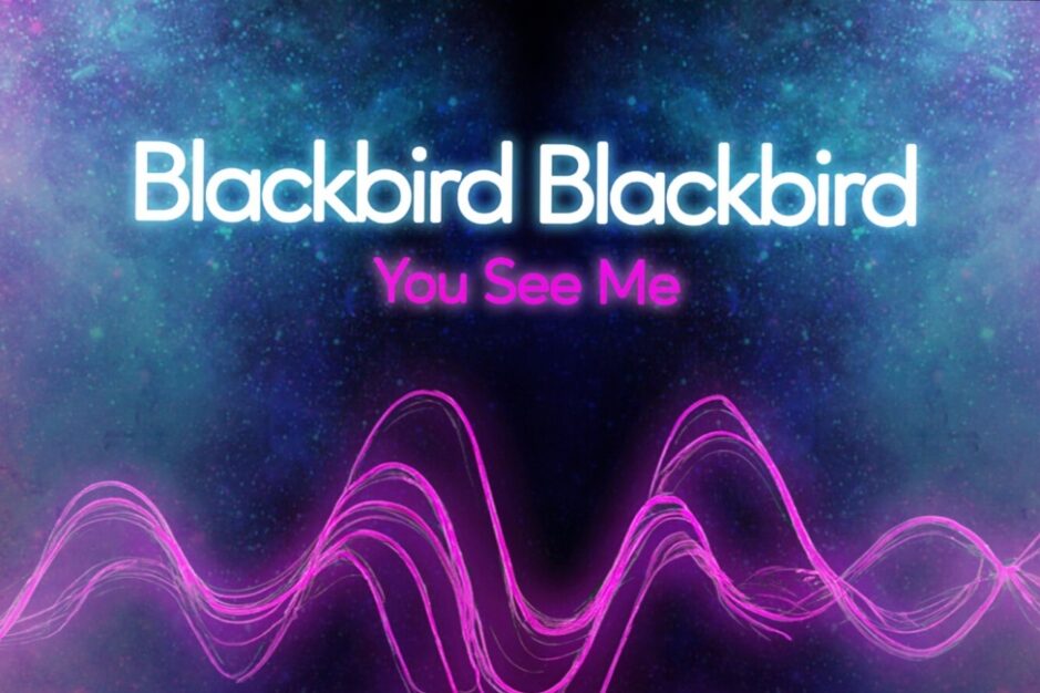 blackbird blackbird - you see me