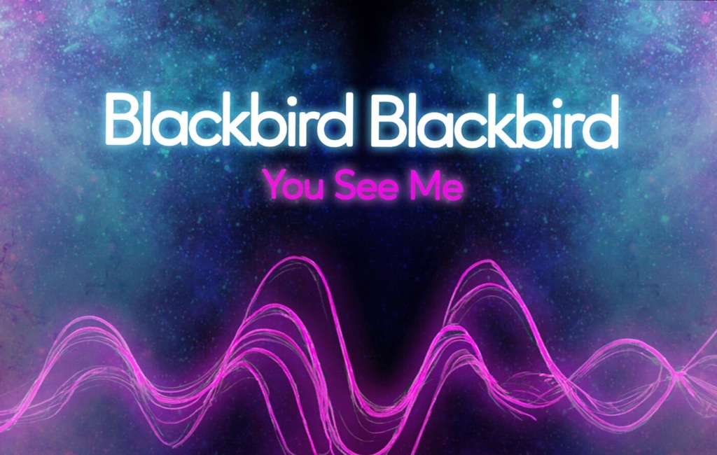 blackbird blackbird - you see me