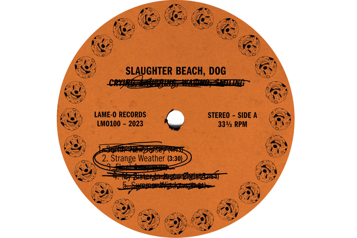 slaughter beach dog - strange weather