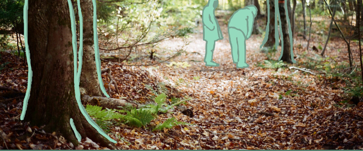 bed bug - pack your bags the sun is growing